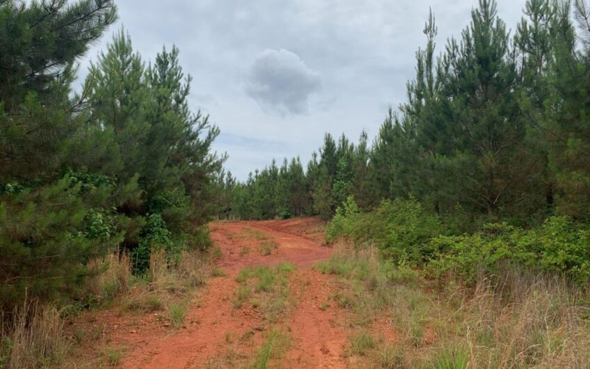 0 Pineywoods Road