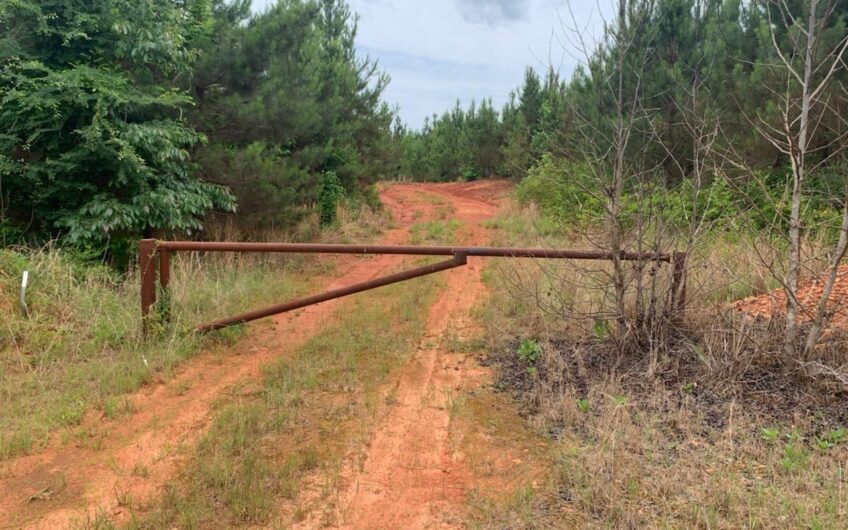 0 Pineywoods Road